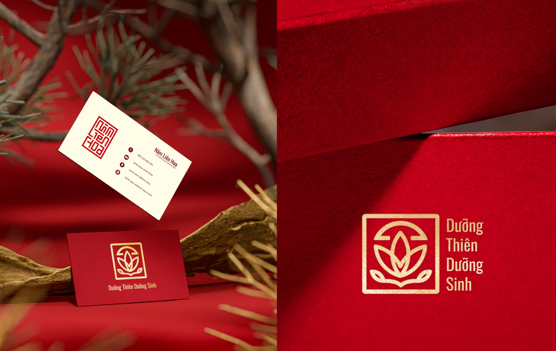 Chiến lược Marketing tổng thể cho Nấm Liên Hoa    