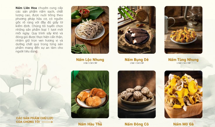 Chiến lược Marketing tổng thể cho Nấm Liên Hoa