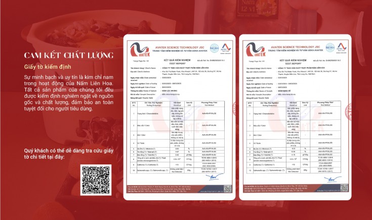 Chiến lược Marketing tổng thể cho Nấm Liên Hoa