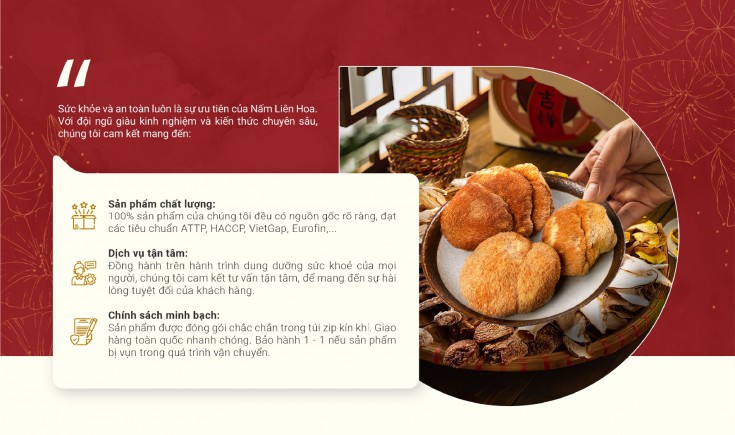 Chiến lược Marketing tổng thể cho Nấm Liên Hoa