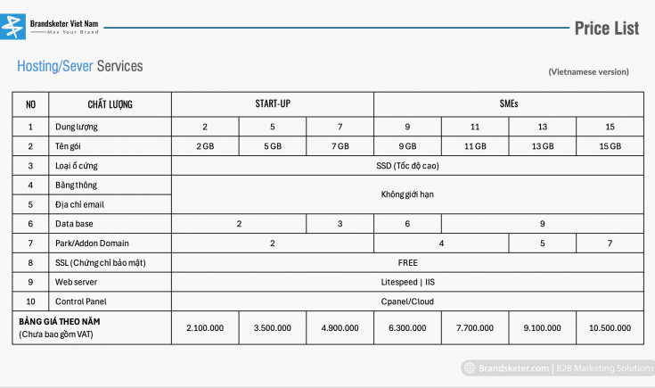Giới thiệu tất cả dịch vụ Marketing từ B2C cho tới B2B tại Brandsketer Việt Nam 