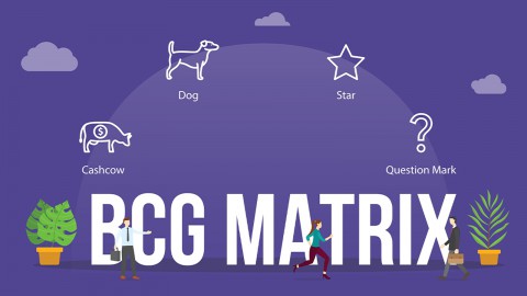 Ma Trận BCG: “Kim Chỉ Nam” Giúp SME Tối Ưu Hóa Danh Mục Sản Phẩm Và Bứt Phá Thị Trường